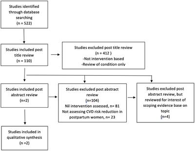 Postpartum Interventions to Reduce Long-Term Cardiovascular Disease Risk in Women After Hypertensive Disorders of Pregnancy: A Systematic Review